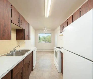 Oasis at Terra Vista — 2 Bed 1 Bath - Photo 1