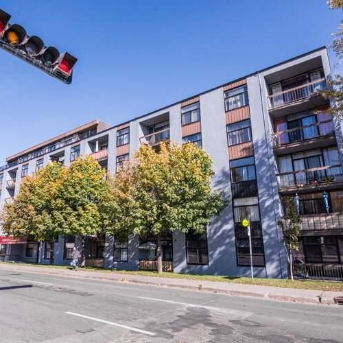 1 CH - 1 SDB - Montréal - $970 /mo - Photo 1