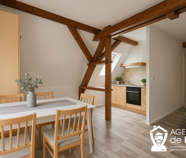 Location Appartement 1 pièce 31m² SELESTAT 67600 - Photo 3