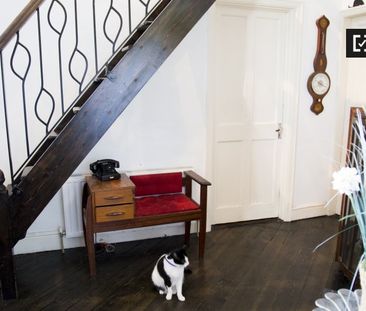 Studio Apartment in 4-bedroom house in Dundrum, Dublin - Photo 3