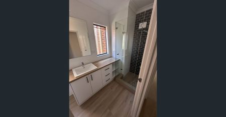 Freshly renovated, light-filled home - Photo 2