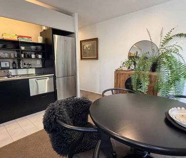 Bright & cosy 1 bedroom home in central location - Photo 3