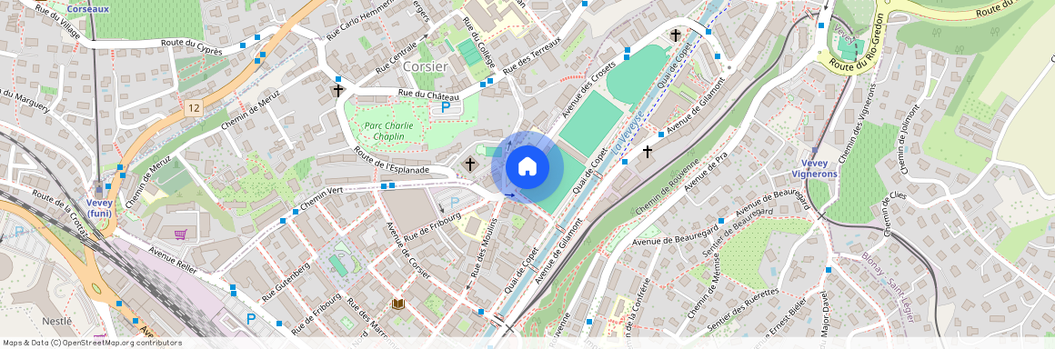 1800, Vevey, Avenue des Crosets, 2