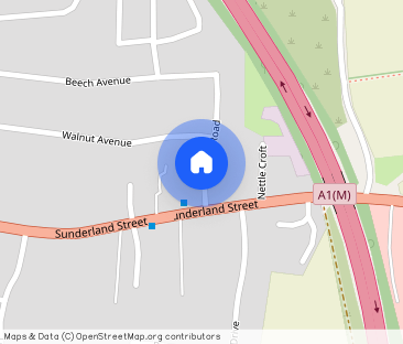 Vine Road, Tickhill - Photo 1