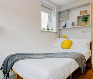 Standard Two-Dio - Photo 1