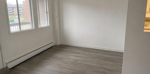 545 Rue De Pointe Gatineau (Gatineau) Super Appartement 3 1/2 - Photo 2