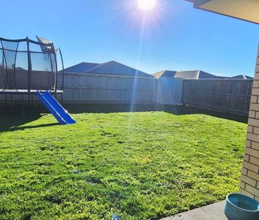 Sunny & Effortlessly Easy Living in Woodend - Photo 5