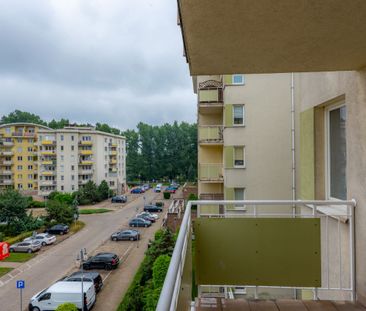 Las Bródnowski|Metro Kondratowicza|Zielone Zacisze - Zdjęcie 3