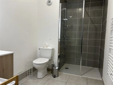Location appartement 1 pièce - 27m² à Villefranche-sur-saône (69400) - Photo 5