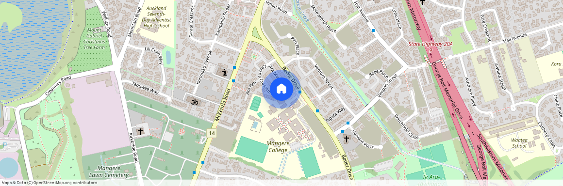 37 Cessna Crescent, Mangere, Manukau City