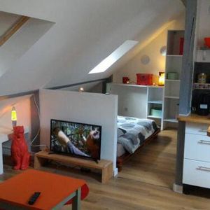 Grand T1 sous combles - Photo 2