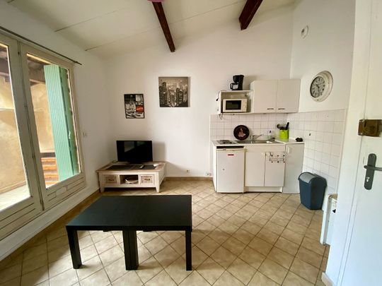 Location Appartement Meublé - Photo 1