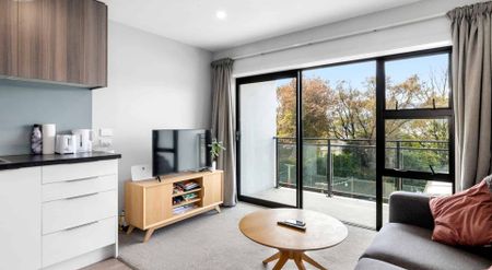 Self-Contained Inner City Apartment - Photo 4