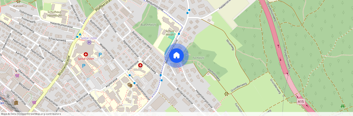 Wermatswilerstrasse 48, 8610, Uster