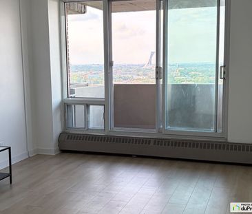 2303-3535, Papineau, Le Plateau-Mont-Royal à louer - Photo 4