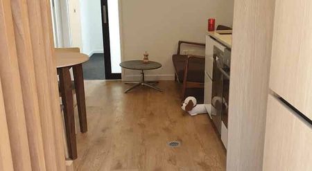 Near New 1 Bedroom Fully Furnished Wellington CBD - Photo 4