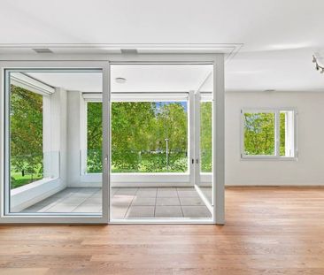 Appartement agréable – Chêne-Bougeries - Photo 5