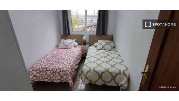 2 room luxury Apartment for rent in Arona, Canary Islands - Photo 1