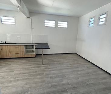 Location Appartement 2 pièces 53m² LE MOULE 97160 - Photo 3