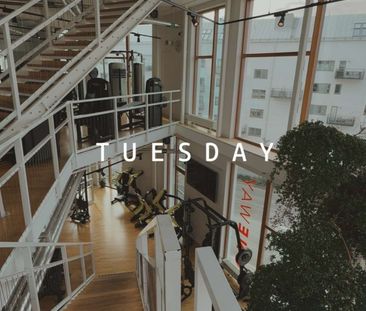 Rosendalsvägen, Uppsala - Foto 5