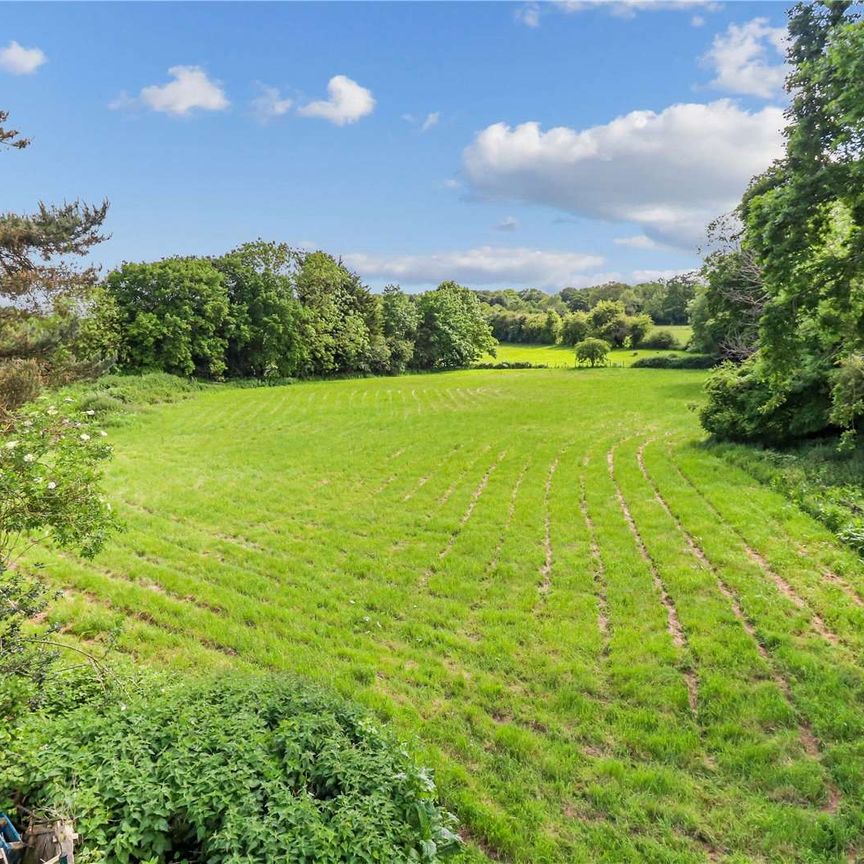 A newly renovated, 3 bedroom semi detached house with stunning views both front and rear over meadows and allotments - Photo 1