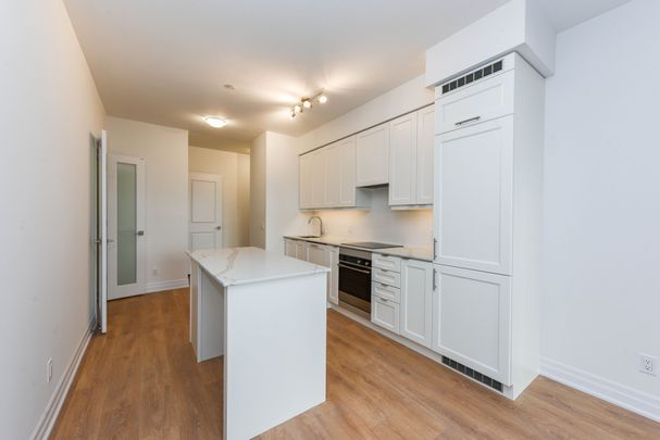 For Lease - 30 Elm Drive Unit# 206, Mississauga, Ontario - Photo 1