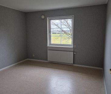 Kolja F, Rinkaby - Photo 2