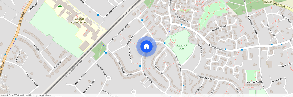 Bushy Hill Drive, Guildford, GU1 2UG