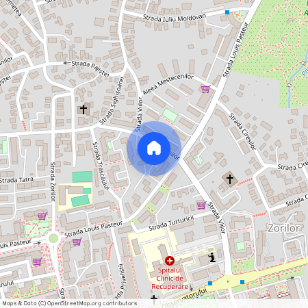 Strada Louis Pasteur, Centru, Cluj-Napoca, Zona Metropolitană Cluj, Cluj, 400348, România