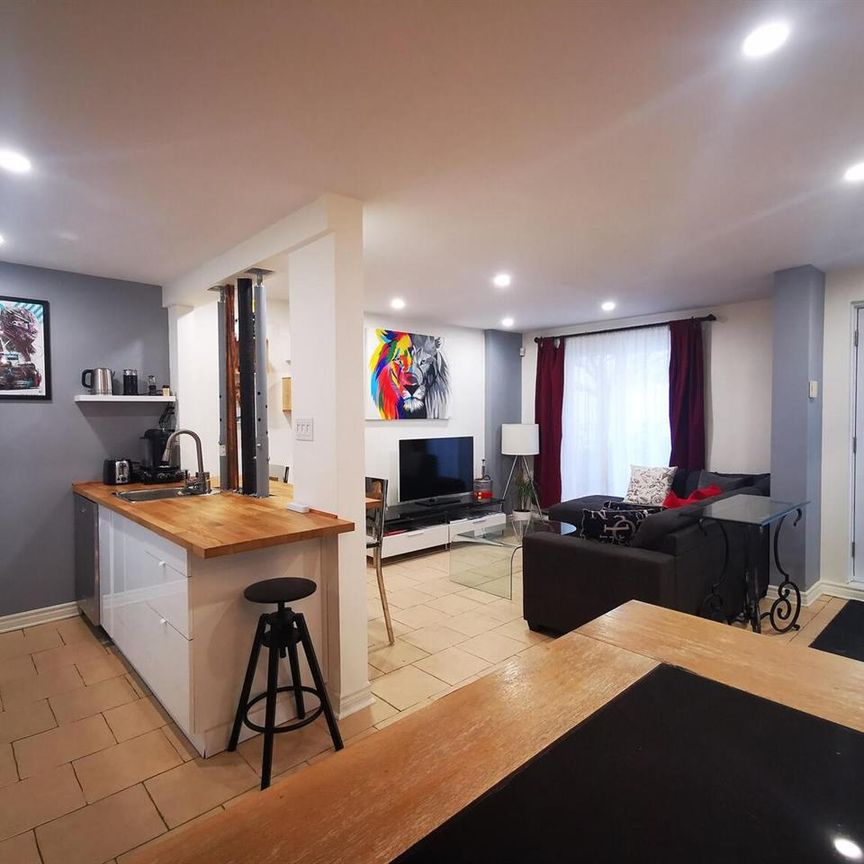 1 Bedroom - 1067 Rue Saint-André, Montréal - Photo 1