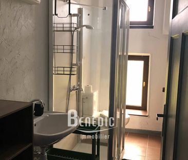 Appartement T2 - Quartier de la Blies - Photo 3