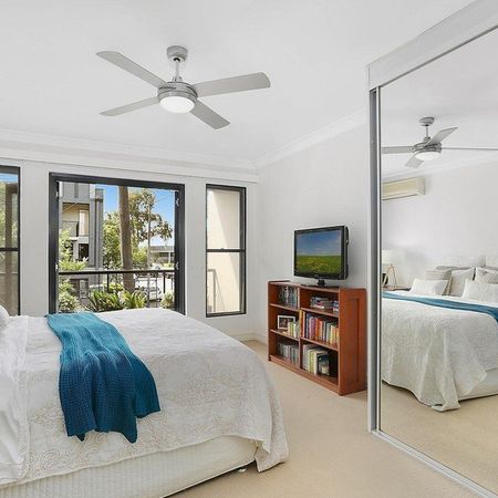 285 Lawrence Street, Alexandria NSW 2015 - Townhouse For Rent | Domain - Photo 4