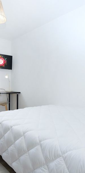 ALBERT CAMUS Colocation 4 chambres à Lorient - Photo 1