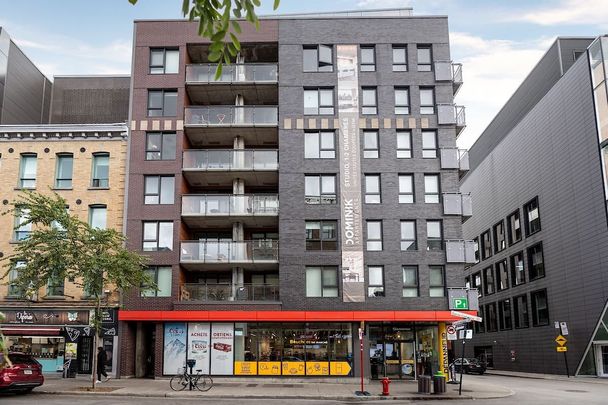 1255 rue Saint-Dominique, Montréal, QC - Photo 1