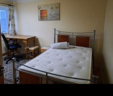 1 bedroom property to rent in Exeter - Photo 2