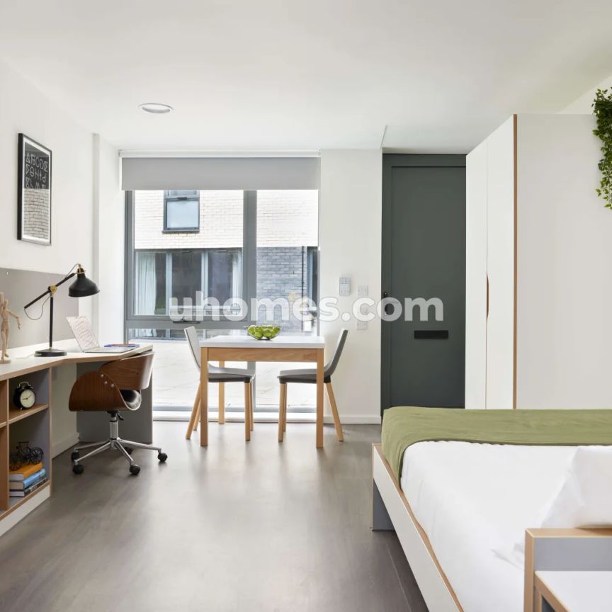 Gold Studio - Single Occupancy - Photo 1