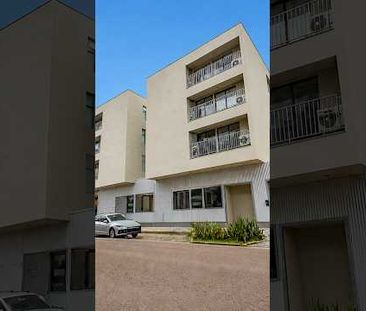 Apartamento para alugar 1 quarto, 42 m² em Centro Cívico, Curitiba - Edifício Apolo - Photo 3