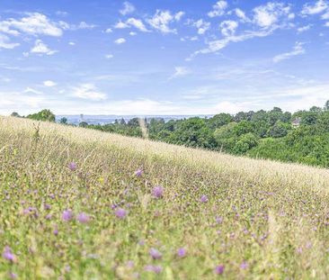 One Tree Hill Road, Guildford, GU4 - Photo 2