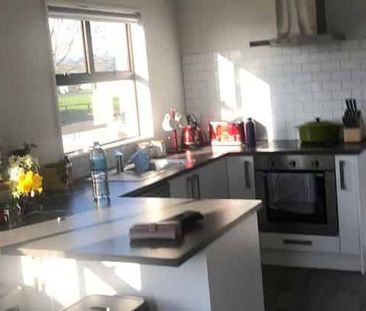 Small Home seeking professional person or couple - Photo 3