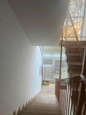 Helle 1-Zimmer-Wohnung zu vermieten - Photo 1