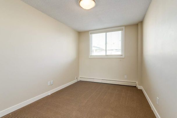 1 Bedroom - Photo 1