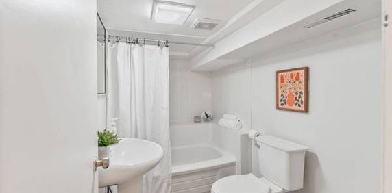 Cozy 1 bedroom basement apartment in St Clair West - Photo 2