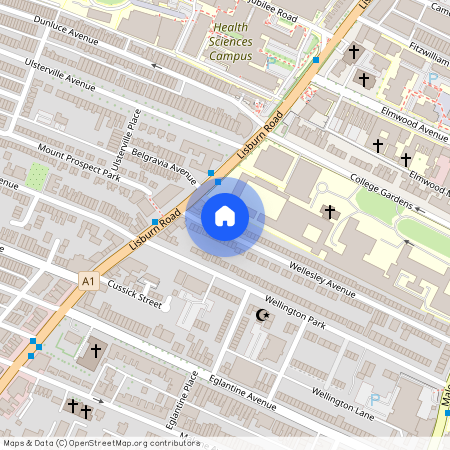 Flat 2, 119 Wellesley Avenue, Belfast, BT9 6DH
