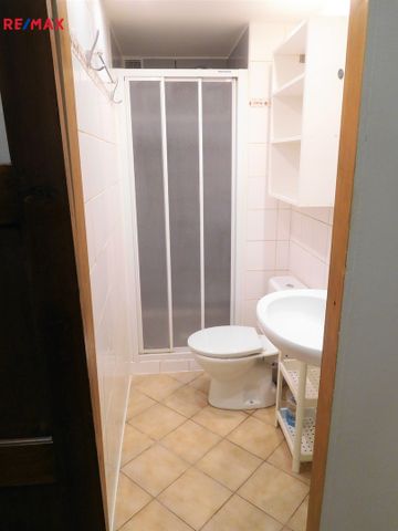 Pronájem bytu 1+1 v osobním vlastnictví 48 m², Ústí nad Labem - Fotografie 5