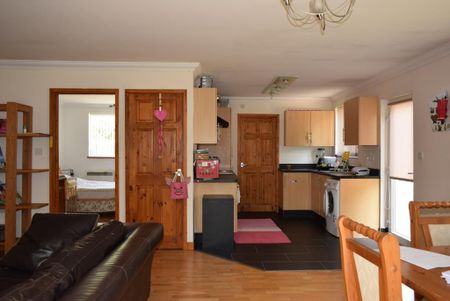 1 bedroom flat to rent - Photo 2