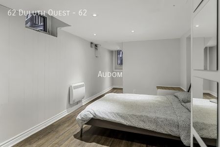 62 Duluth Ouest - 62 - Photo 5