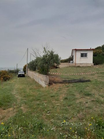 Μονοκατοικία για ενοικίαση - Πολίχνη, - Photo 4