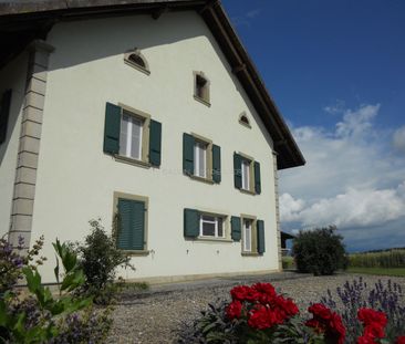 CHARMING 7½-ROOM DUPLEX - Photo 5