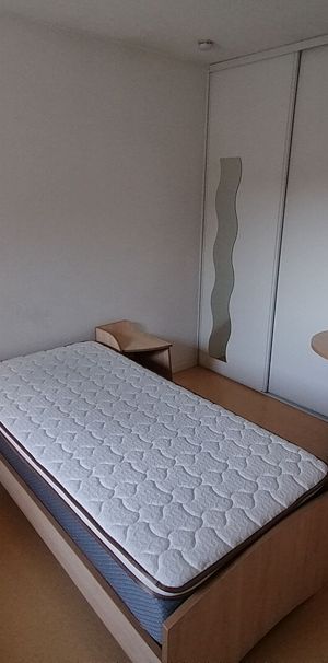 Appartement T1 METZ à louer - Photo 1