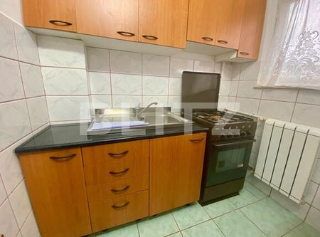 Garsoniera, 25mp, pet-friendly, balcon, Zorilor, UMF - Fotografie 3